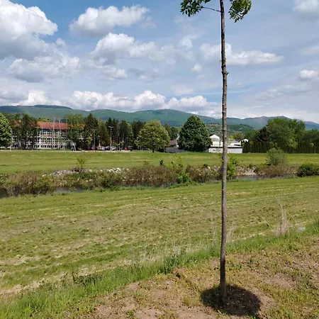 Apartamento Brankovic Pirot-zapadni Kej 58 *