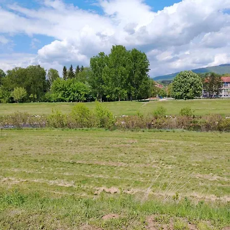 Apartamento Brankovic Pirot-zapadni Kej 58 *