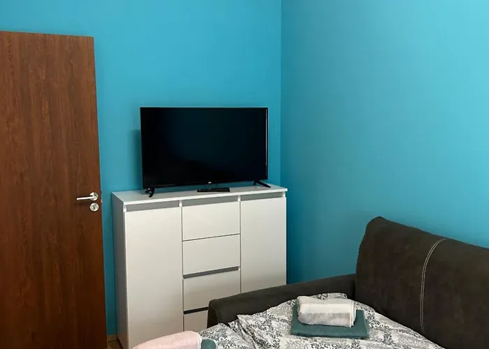 Brankovic Pirot-zapadni Kej 58 Пирот