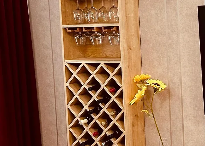 Brankovic Pirot-zapadni Kej 58