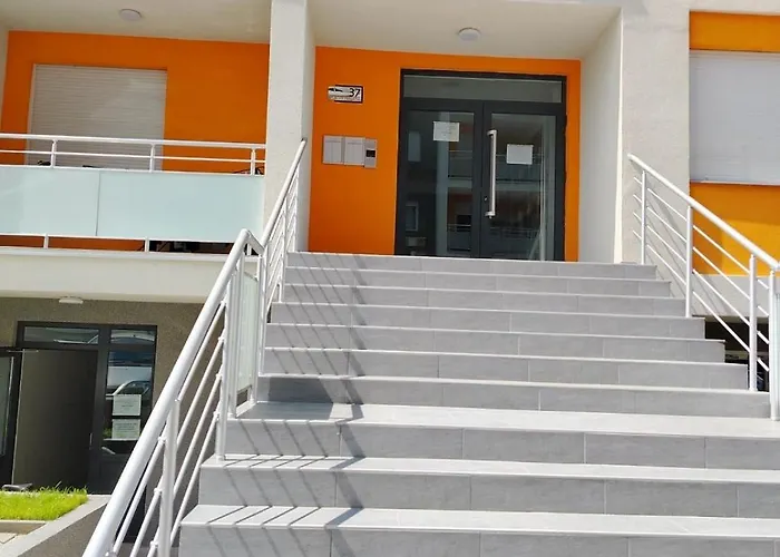 Brankovic Pirot-zapadni Kej 58 Пирот