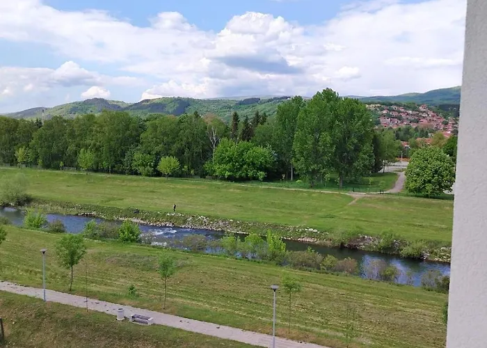 Brankovic Pirot-zapadni Kej 58