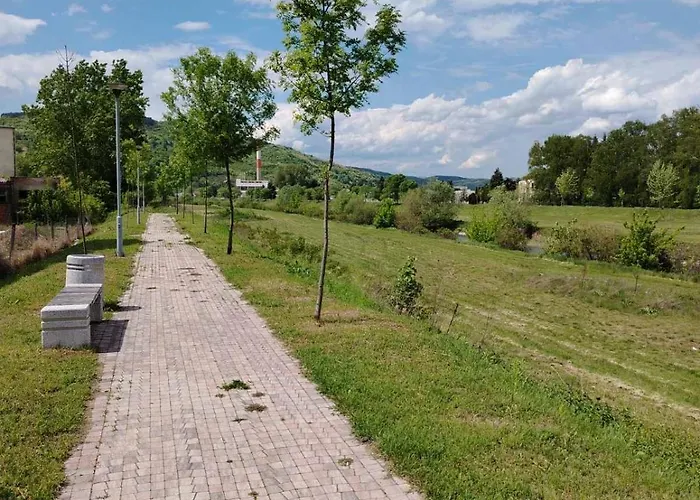 Апартаменты Brankovic Pirot-zapadni Kej 58