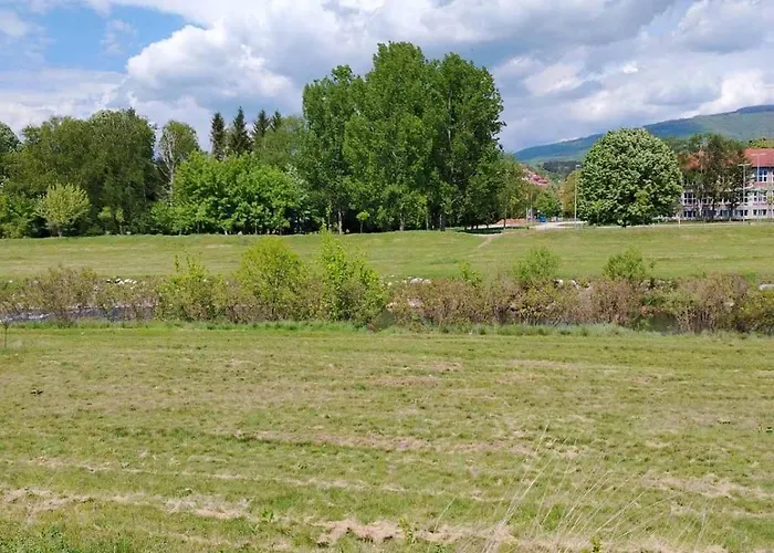 Апартаменты Brankovic Pirot-zapadni Kej 58 *